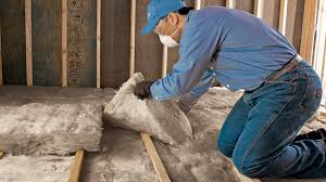 Best Commercial Insulation Services  in Princeton, KY